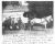 Wm. F. James Ice Wagon Wm. F. James Ice Wagon